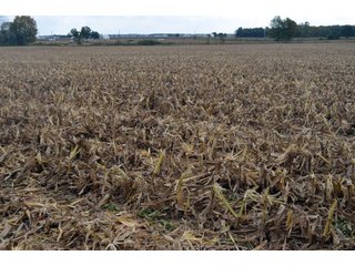 Property photo 76 - EHLE FARMS AUCTION - 118+/- ACRES IN 9 TRACTS IN ALLEN COUNTY, INDIANA